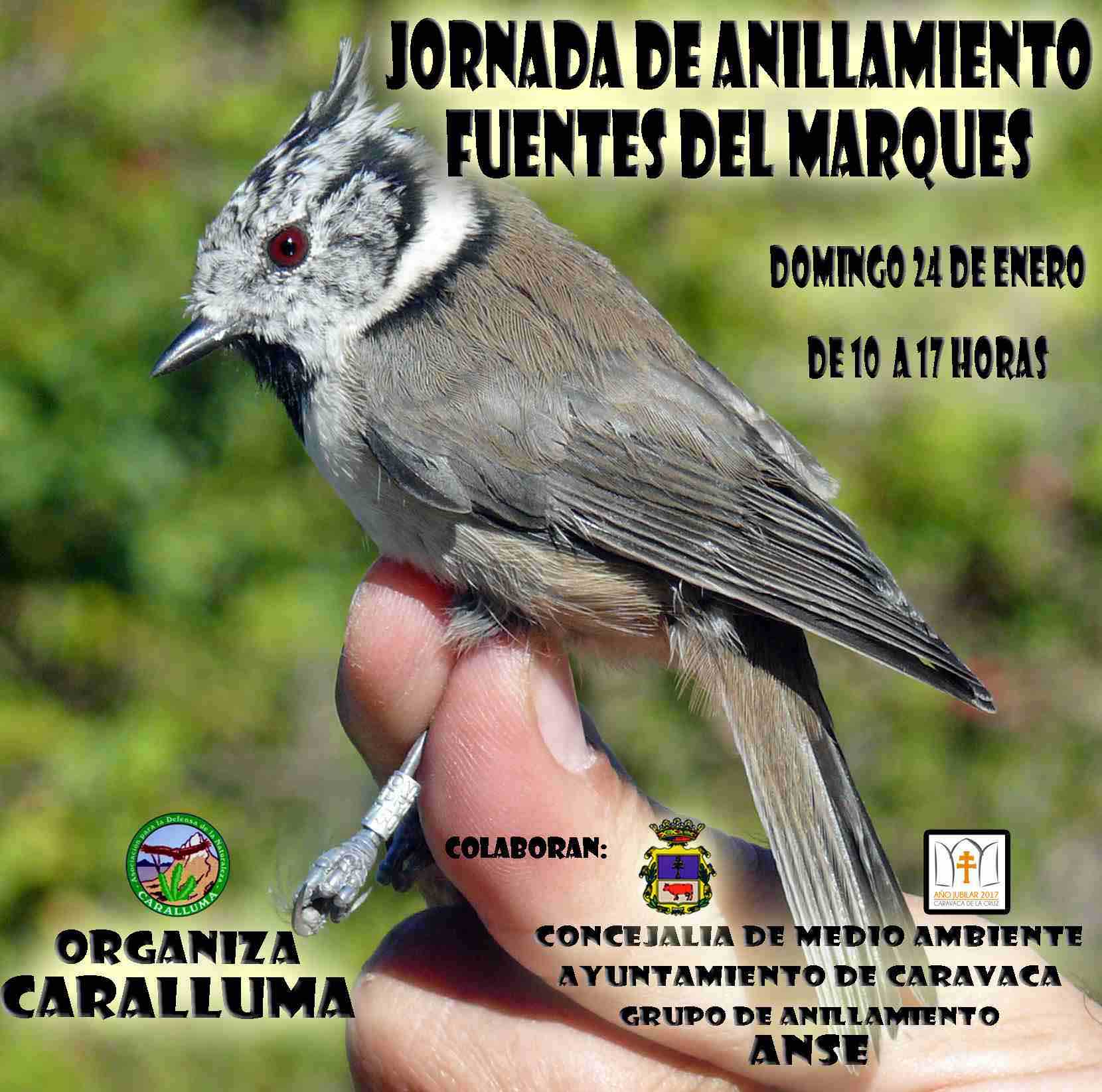 El paraje de las Fuentes del Marqués de Caravaca acoge este domingo una jornada de ornitología
