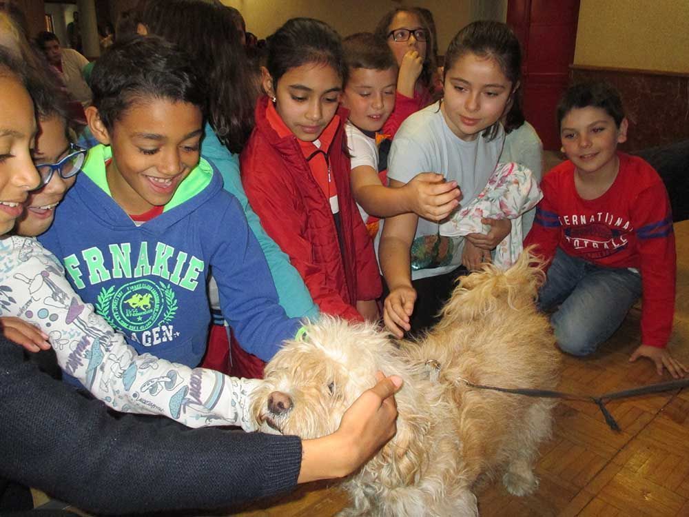 Los alumnos de 4º de Primaria de Cehegín reciben una charla sobre la concienciación del bienestar animal
