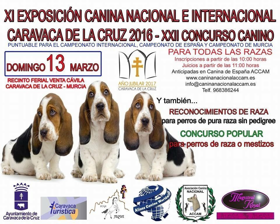 Cartel del concurso canino 2016