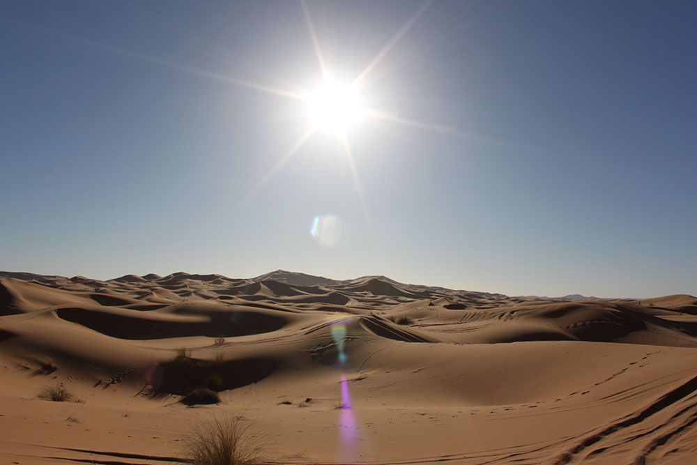 El desierto de Magdalena Fernández