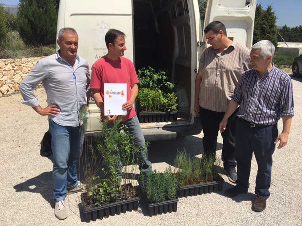 Un vivero de Moratalla dona doscientos árboles al Ayuntamiento de Águilas