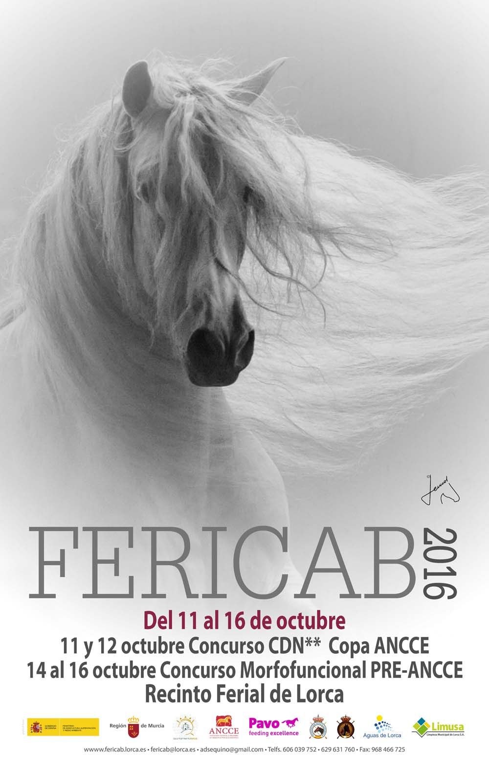 ANCCE apoyará con su presencia la Feria del Caballo de Lorca, que se celebrará del 11 al 16 de octubre