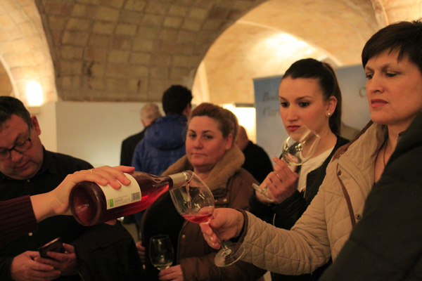 Los asistentes pudieron degustar los vinos de la DO Bullas