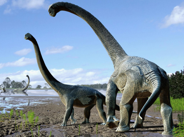 Analizado el primer registro fósil de dinosaurio en el Noroeste de la Región de Murcia