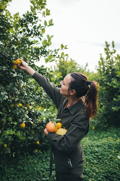 La fotógrafa Cristina Navarro rescata naranjas, pomelos y limones de la Huerta de Murcia para elevarlos a objetos artísticos