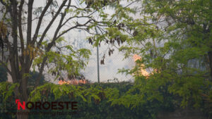 Bomberos extinguen un incendio próximo a la Glorieta de Caravaca